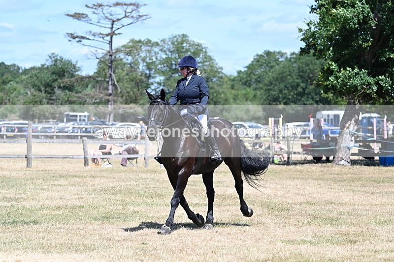 WJ7_2923 - Class 7 Riding Club Show Horse