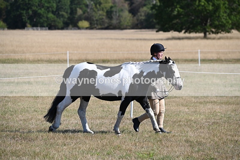 WJ6_7179 - Class 33 Rescue Pony