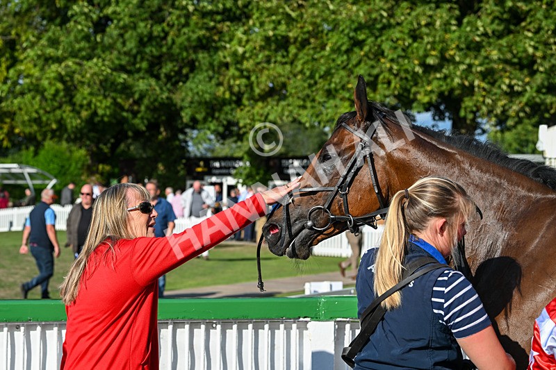 020825-Race 8-Dandy Dinmont-4030 - Race 8