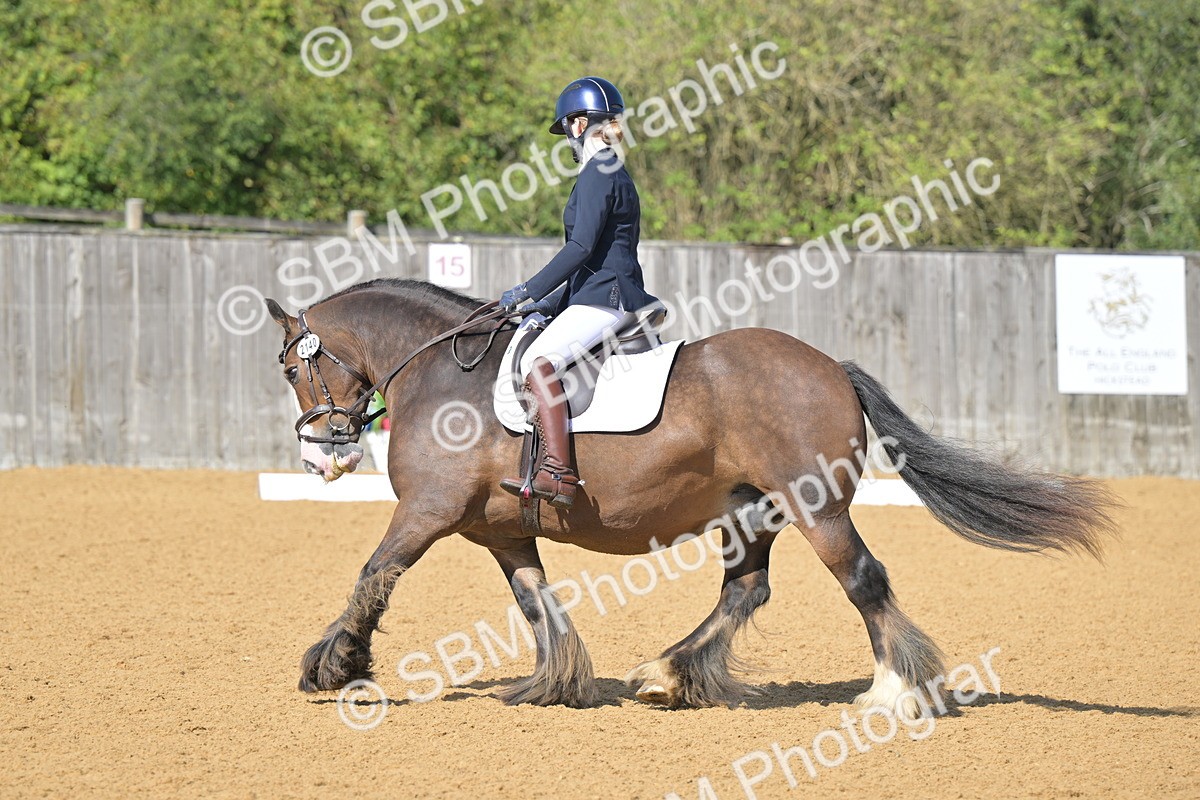 SBM_03934 - D2 - Small Tour Championship Intro 2