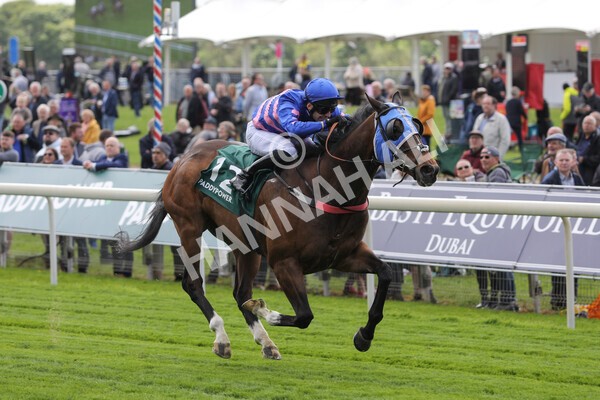 yr12052022r1-22 - Race 1 1.50pm Paddy Power 'Making Flat Less Flat' Stakes