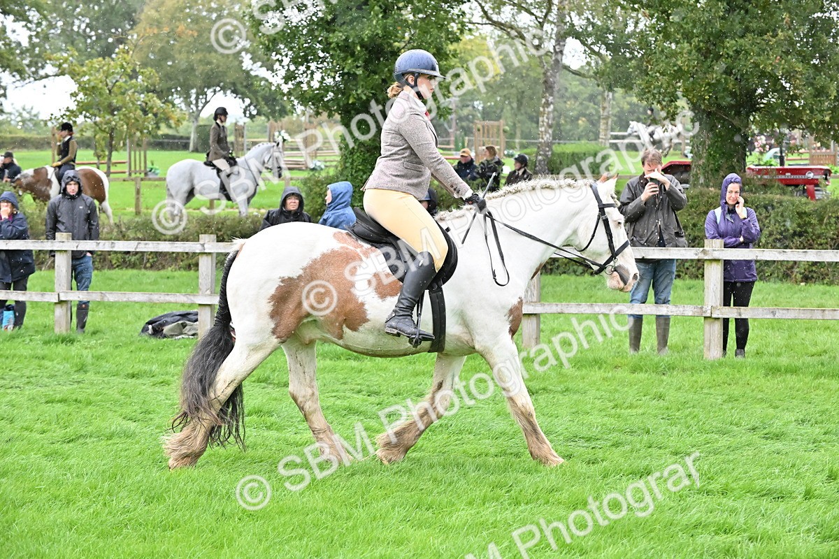 SBM_42968 - S12 - Family Horse & Pony