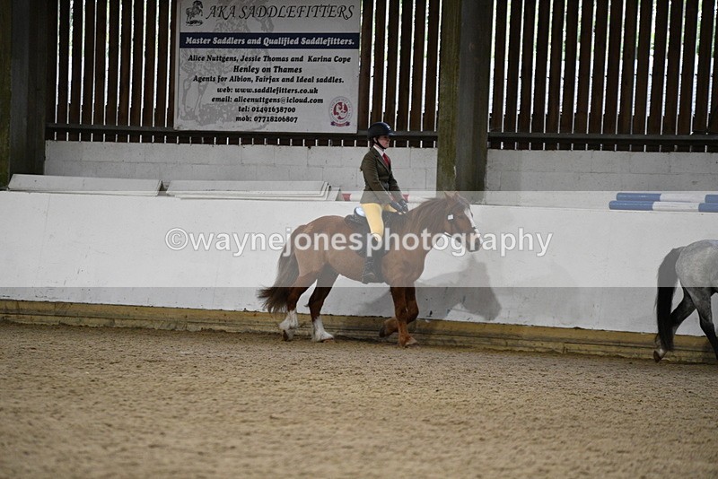 WJ5_8185 - Class 14 Novice Ridden/Rider