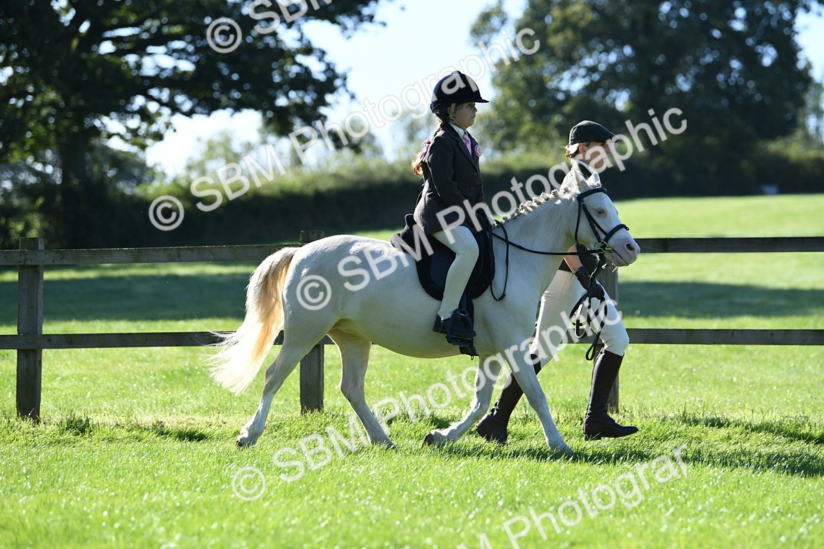 SBM_36784 - S18 - Novice & Newcomers Lead Rein Pony
