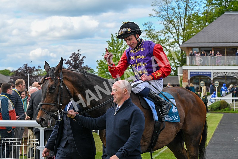 150526-Race 3-Warrant Holder-7609 - Race 3 2.55pm Support Macmillan Charity Raceday On 13 June Handicap