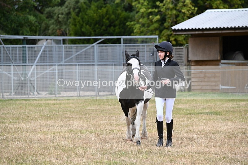 WJ6_4217 - Class 10 Coloured In-hand