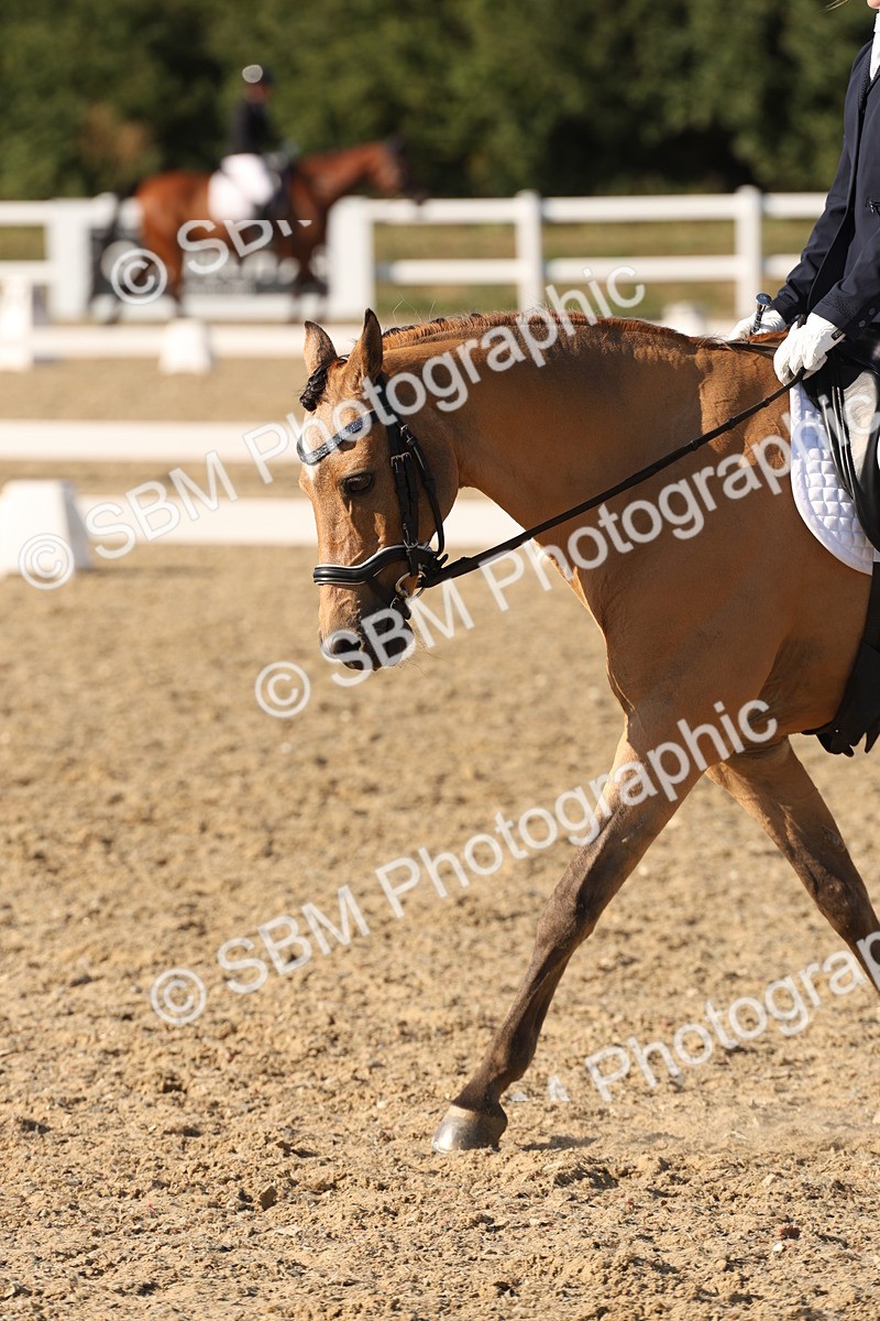 SBM_007039 - Prelim 4 - 15.56-17.51