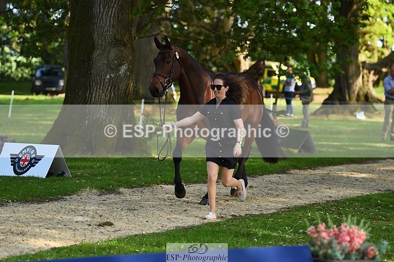 230524-171742-01407 - 168-PARKFIELD_ARTIE_BLOU-Laura_Collett-WEDTrotUp+DR