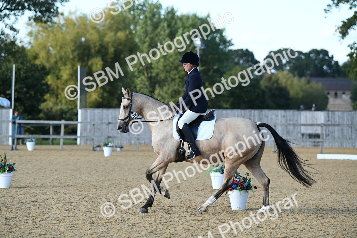 SBM_28498 - D16 - Small Tour Championship - Novice 28