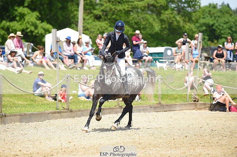 230528-121916-15639 - 311-BALLYCOSKERRY_REGAL_DIAMOND-Hollie_Swain-SUNTrotUp+SJ