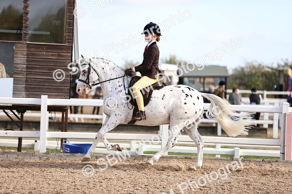 SBM_09025 - Class 403 - Grassroots Ridden - Junior