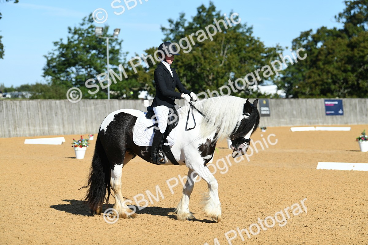 SBM_16291 - D4 - Small Tour Championship - Intro B