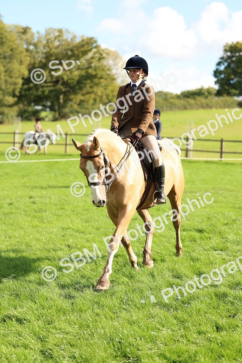 SBM_50075 - S34 - Novice & Newcomers Working Hunter