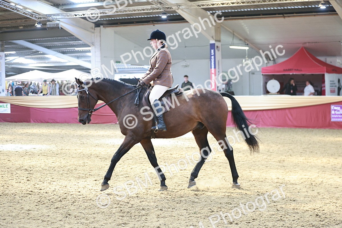 SBM_07073 - Class 10R - Regional Ridden Diamond
