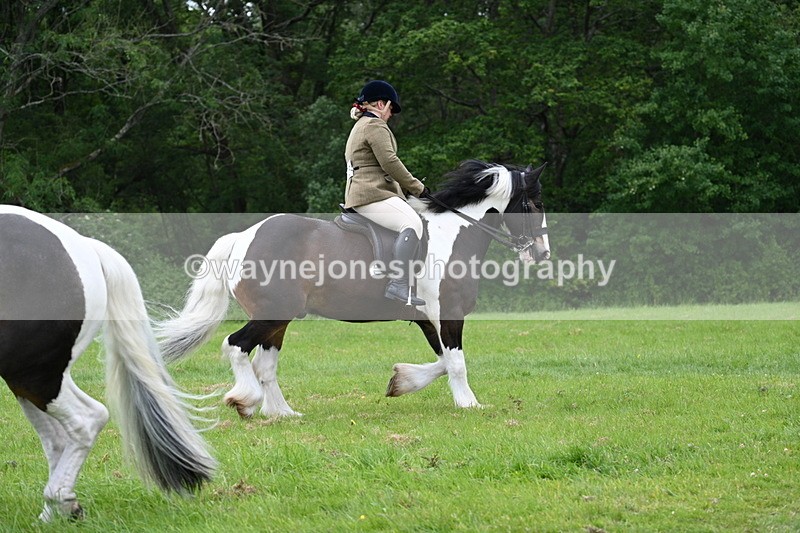 WJ7_2075 - Class 12A Coloured Class