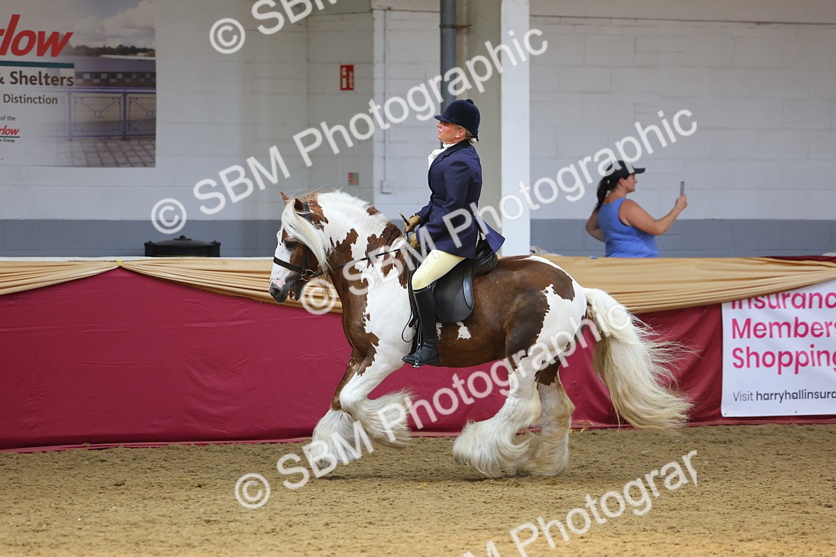 SBM_24613 - Class 906 - Supreme Final - Ridden Pre Vet