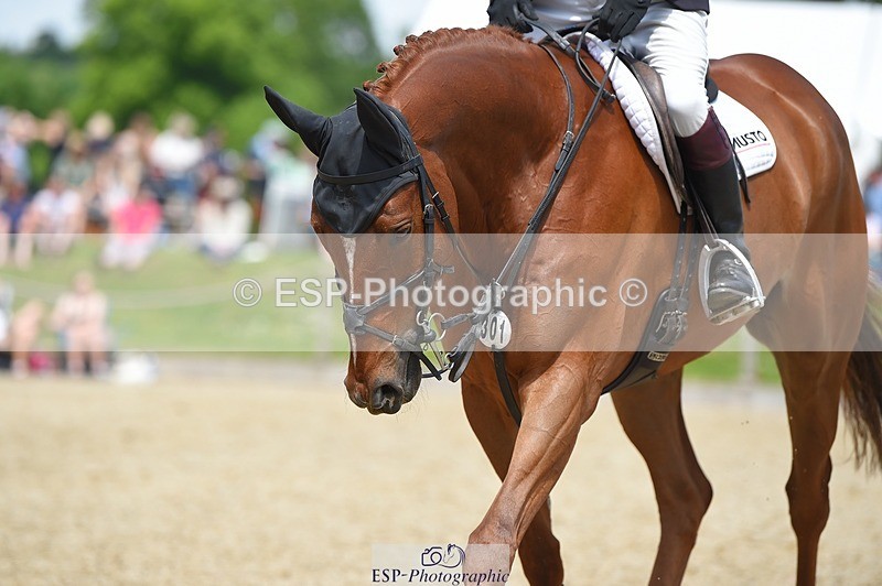 230528-125700-15917 - 301-JET_FIGHTER-Harry_Meade-SUNTrotUp+SJ