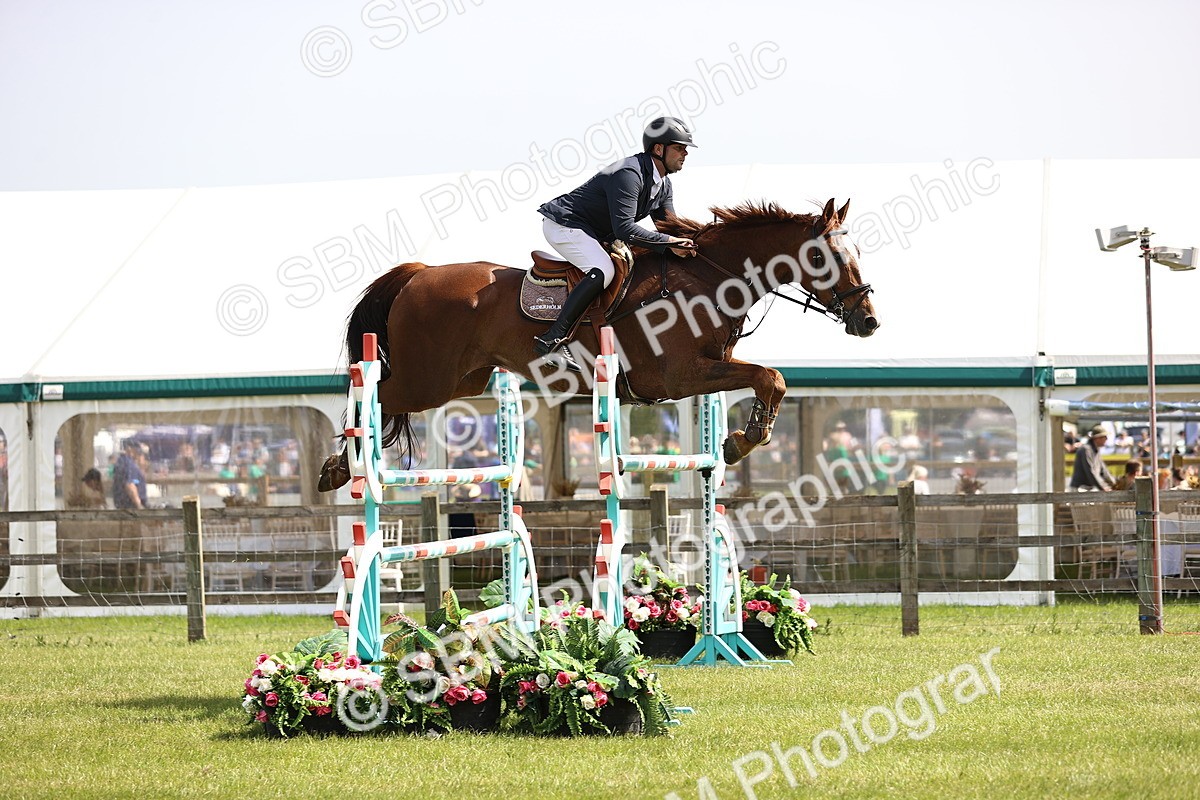 SBM_03301 - Class 201 - British Horse Feedds Speedi Beet HOYS Grade C