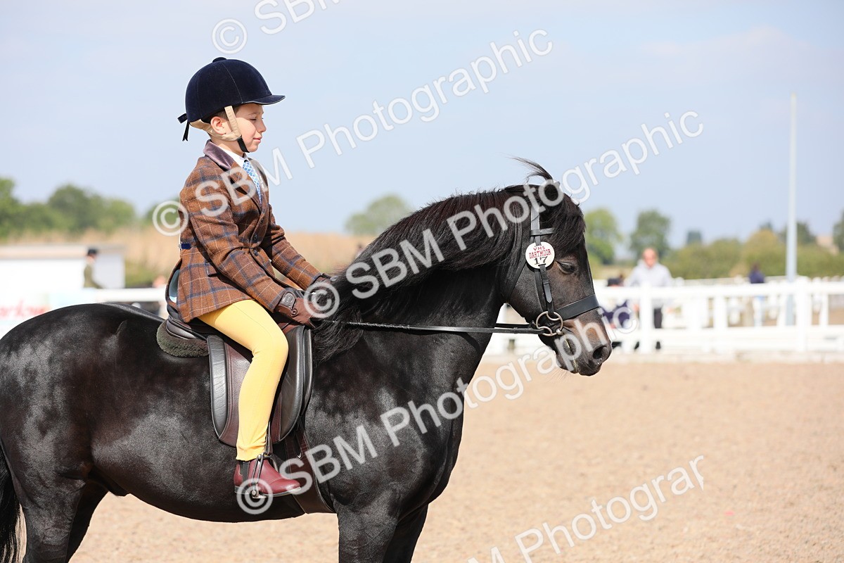 SBM_14733 - Class 310 First Ridden Pony