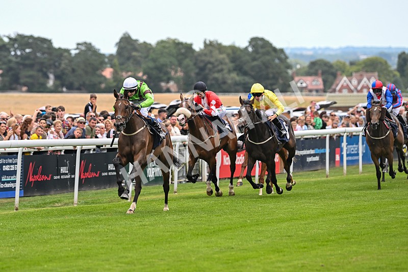 290725-Race 2-Queen Roslyn-9755 - Race 2