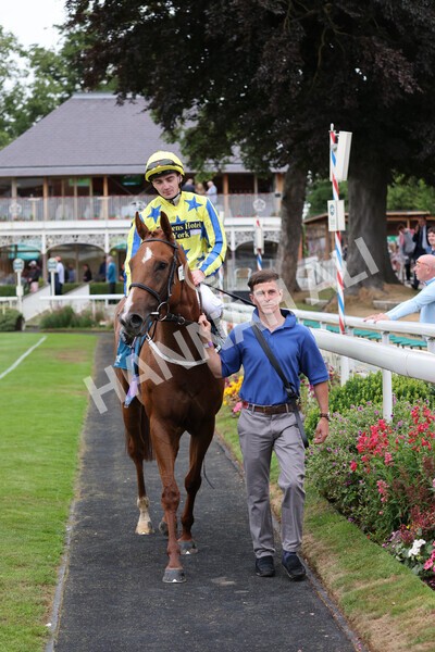 yr22072022r3-75 - Race 3 6.20pm Tomahawk Stakes