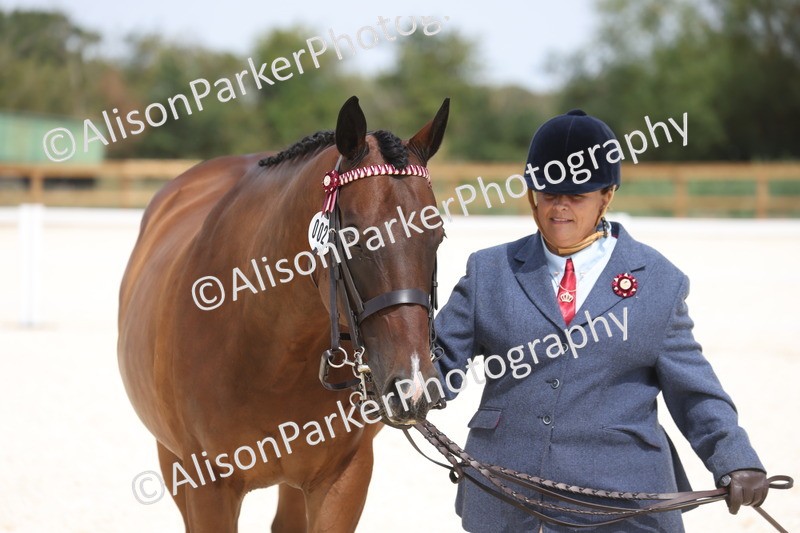 20260802-1530 - Class 16 - Best Horse or Pony