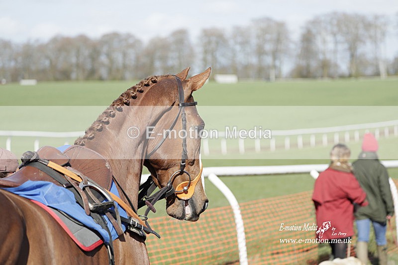 PtP 100423 960 - Old Berkshire Point-to-Point Lockinge 10/04/23
