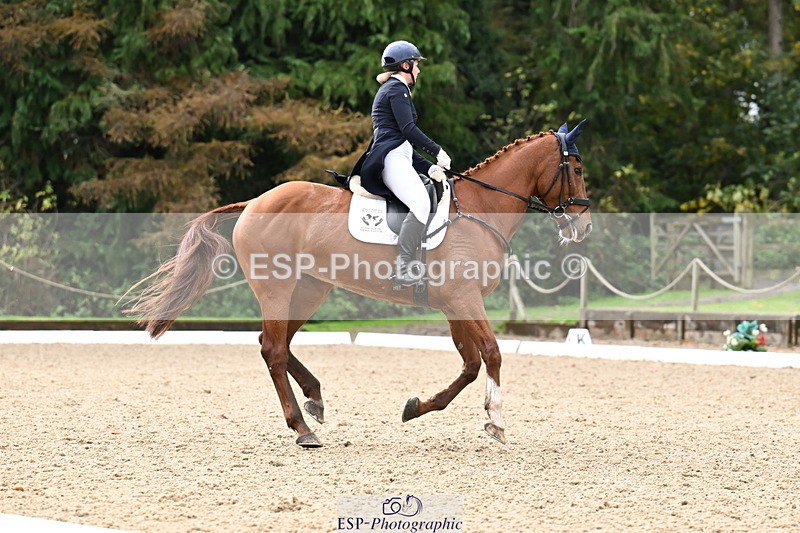 251023A-124245-02306 - B-154-Holly.Law