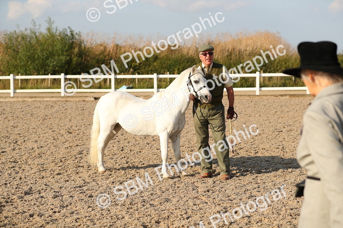 SBM_09018 - Class 29 IH Veteran Pony