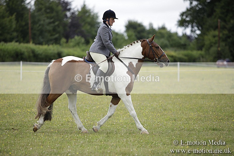 BVR160717-1872 - Ring 1 BVRC Show 16/07/17