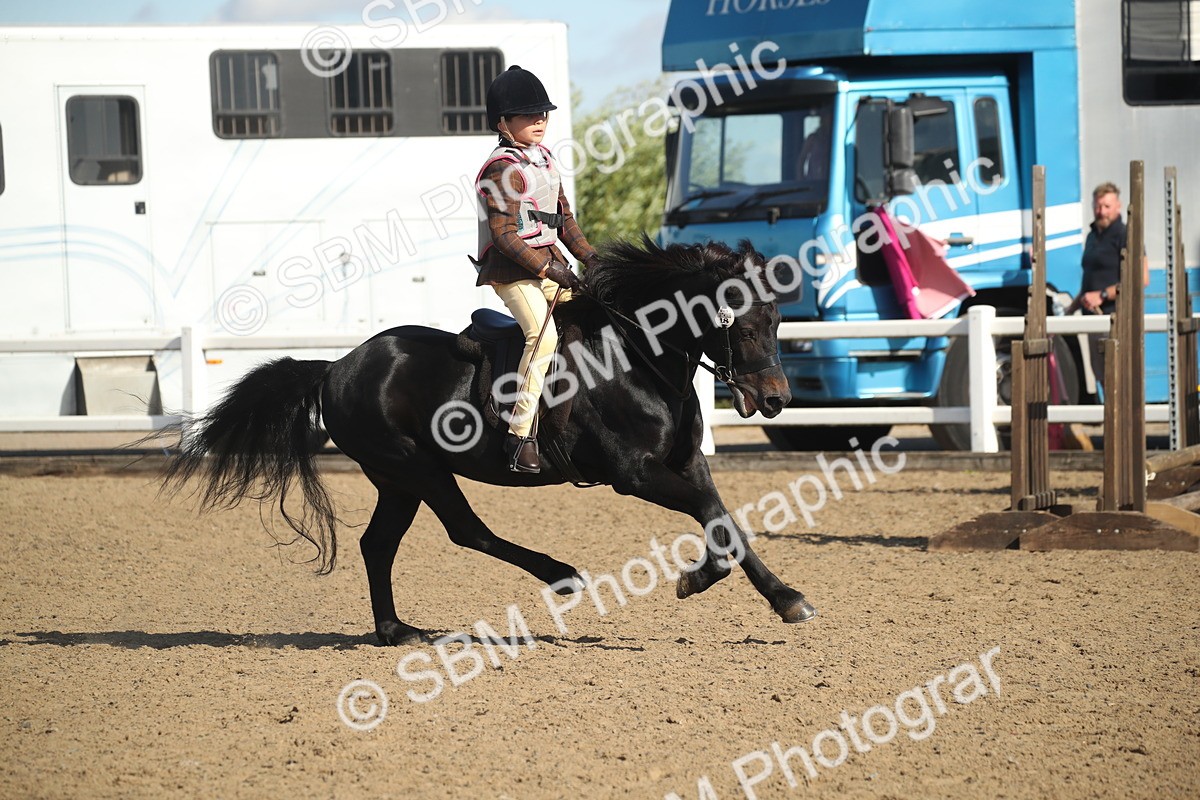 SBM_12695 - Class 504a - Junior Working Veterans - 40cm (15-19)