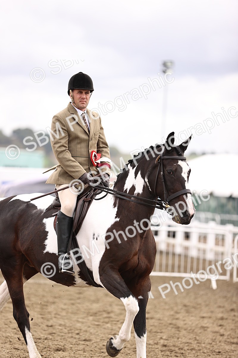 SBM_01464 - Class 54 - Riding Club Horse Pony