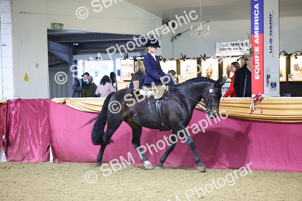 SBM_19297 - Class K Equitation Champ