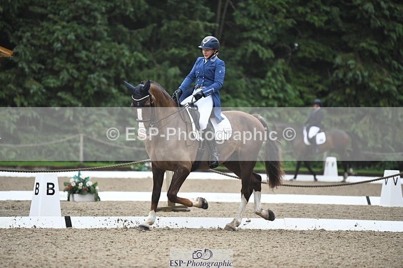 240720-143230-05681 - 142-Amberley_Pugsley-Hero_A