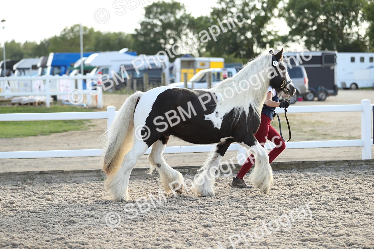 SBM_08900 - Class 29 IH Veteran Pony