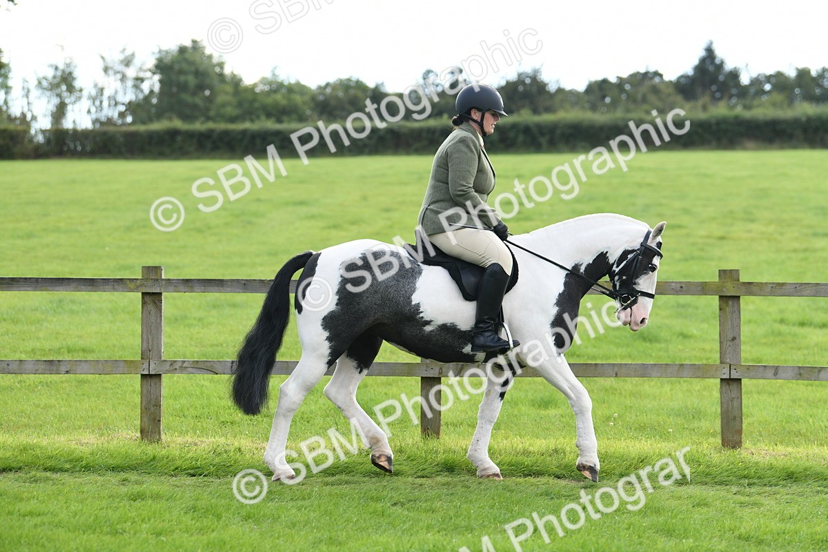 SBM_46718 - S12 - Family Horse & Pony