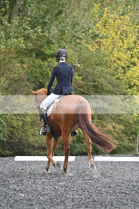 WJ7_6662 - Time 14:49 to 15:14