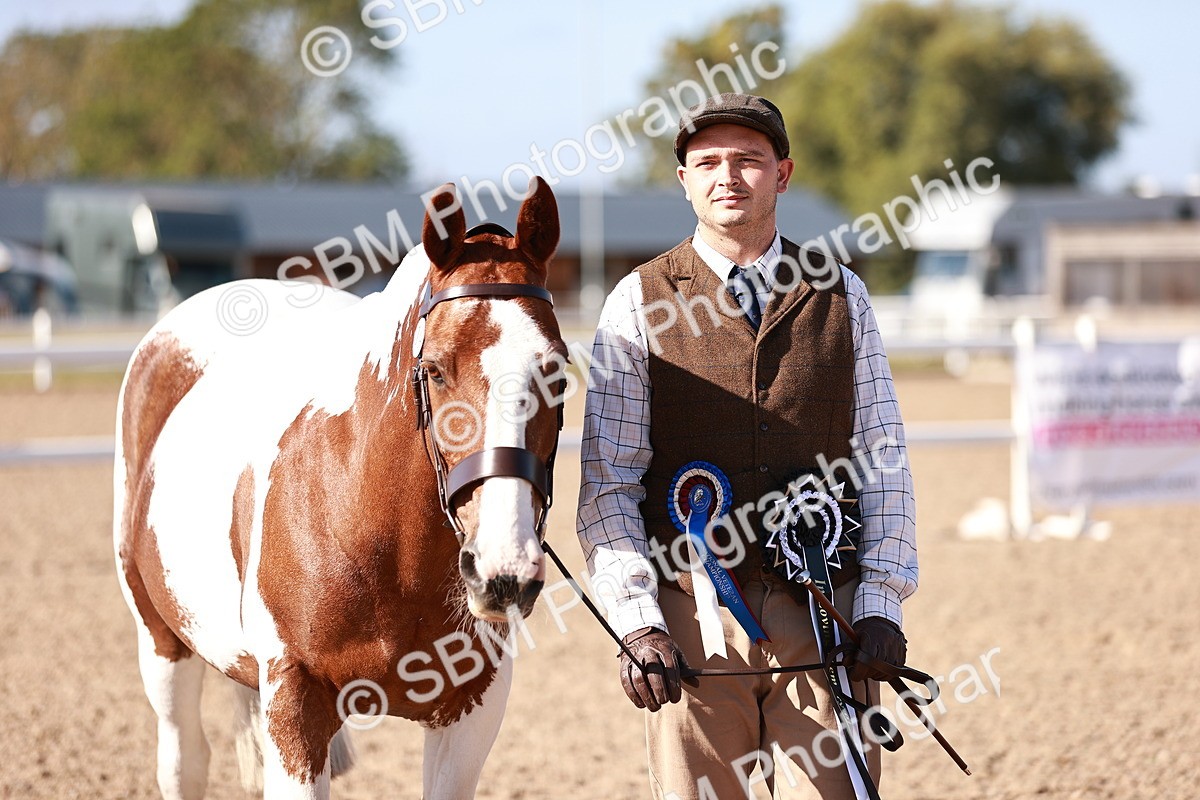 SBM_22098 - Class 703 - IH Coloured