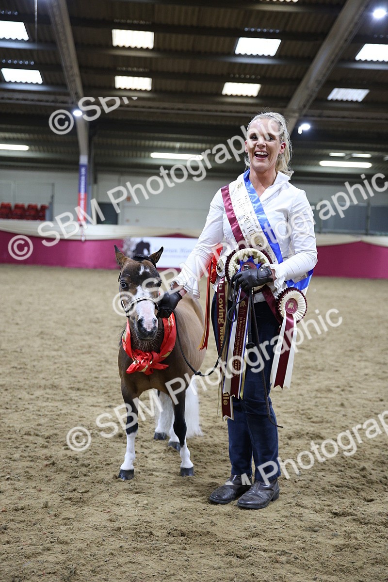 SBM_18780 - Class D IH Pony Champ