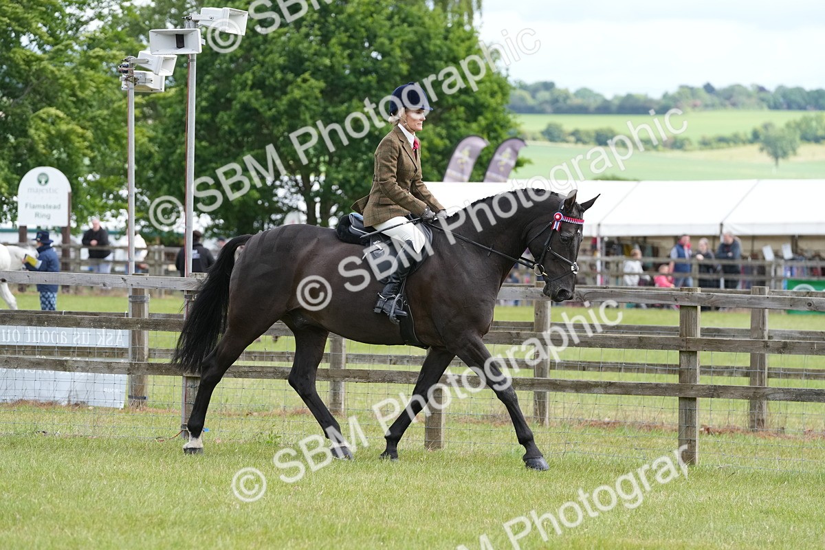 SBM_12914 - Class 99 - RIHS SEIB Working Show Horse