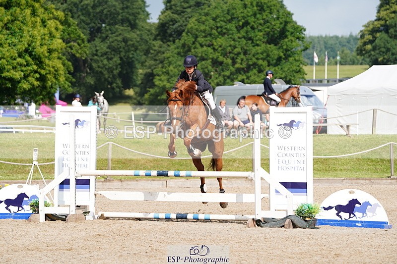 250615A-092736-09849 - Class 43 British Novice 90cm Open