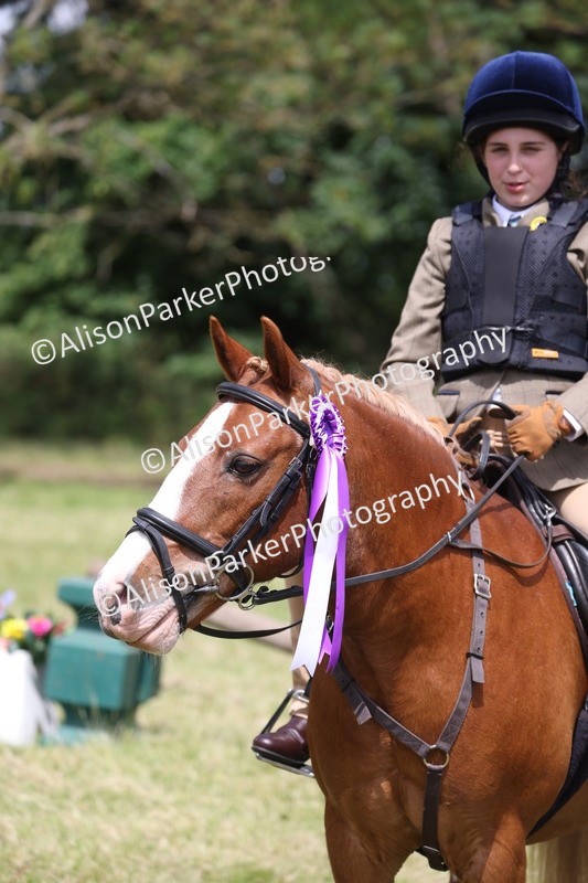 20260614-2161 - Class 21 - Novice Working Hunter Pony