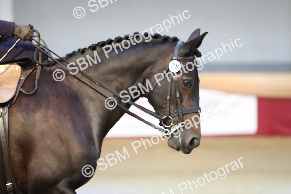 SBM_01979 - Class 4a Area Ridden Diamond