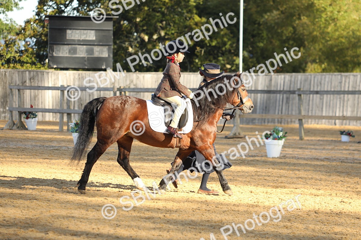 SBM_33673 - D26 - Starers - Lead Rein