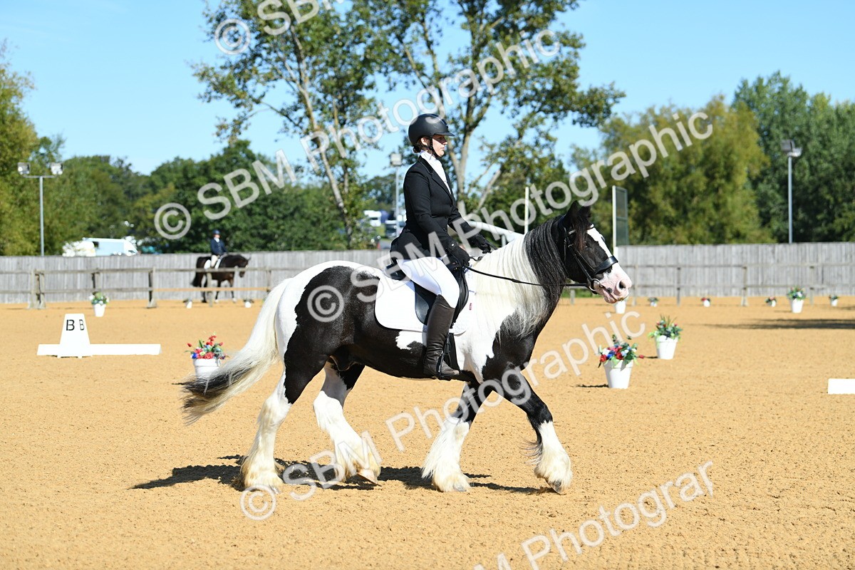 SBM_18209 - D4 - Small Tour Championship - Intro B