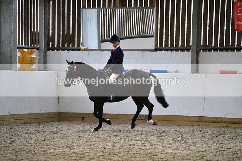 WJ5_7850 - Class 13 Ridden Part Breed