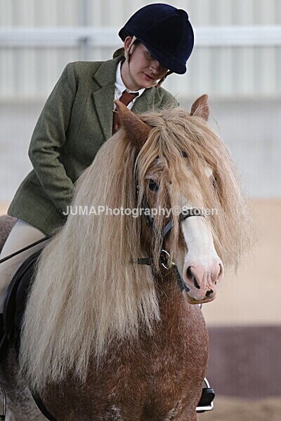 SIAL2019 - Indoor Classes