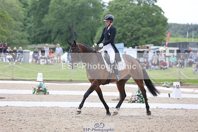 240524-114457-08433 - 271-WILD_ATLANTIC_WAY-Susie_Berry