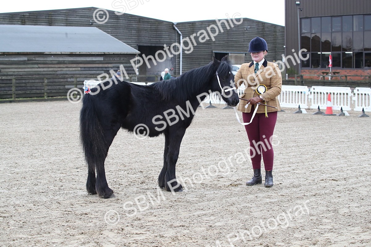 SBM_004010 - Class 1-4 - Young Stock classes Inc. In Hand Championship