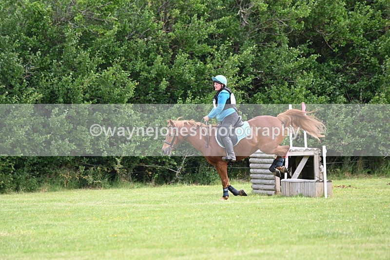 WJ6_2232 - Class 2 40cm